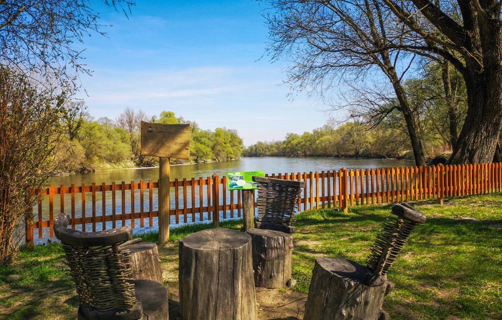Holiday Home Dika سفيتي مارتن نا موري المظهر الخارجي الصورة